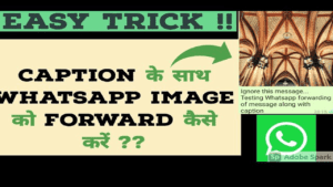 WhatsApp पर Captions के साथ Images कैसे Forward करें | WhatsApp Par Captions Ke Sath Images Kaise Forward Kare